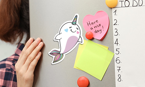 Refrigerator Magnets